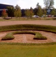 Flower Bed at the Indianapolis Colts Training Facility
